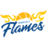 汤斯维尔火焰女篮